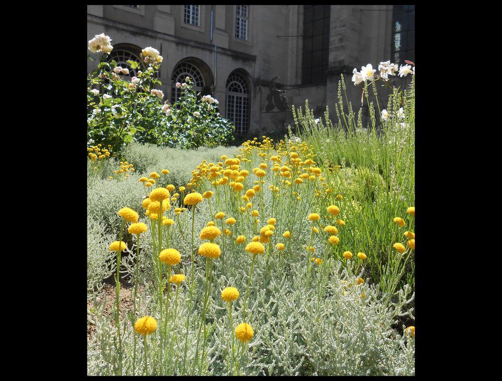Hotel De L'Abbaye Des Premontres 퐁타무종 외부 사진