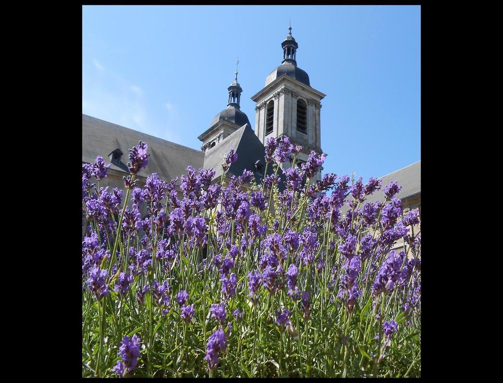Hotel De L'Abbaye Des Premontres 퐁타무종 외부 사진